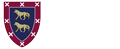 Logo Fesei
